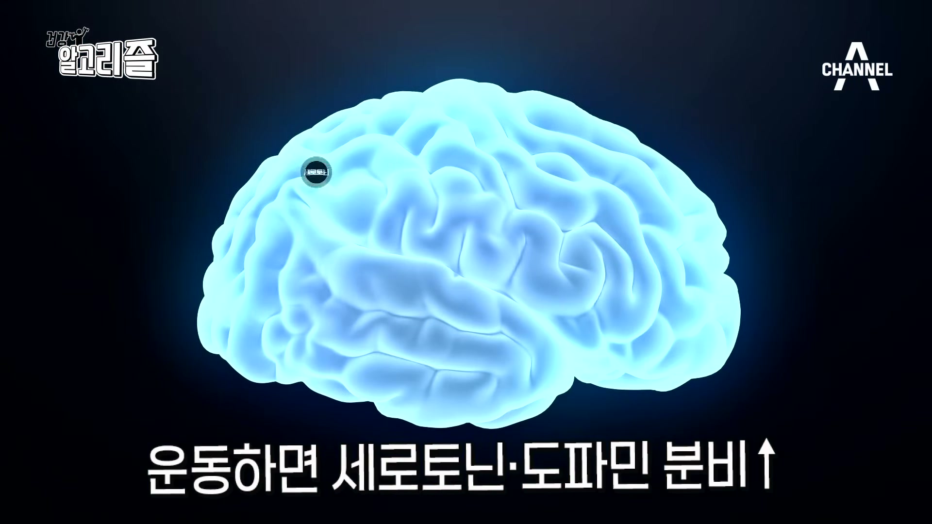 장면 7 — 뇌 그래픽과 '운동하면 세로토닌·도파민 분비↑' 자막