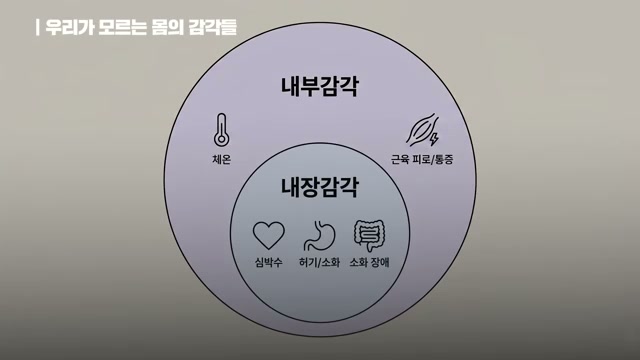 장면 7 — 내장감각과 내부감각을 도식으로 설명하는 장면